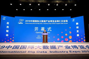 2019中國國際大數(shù)據(jù)產(chǎn)業(yè)博覽會銅仁分會場開幕 共繪“智慧銅仁”新藍(lán)圖